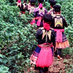 Vanishing Tribes Of Burma: Meo4