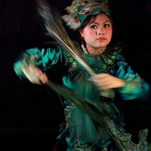 Vanishing Tribes Of Burma: Girl in Green