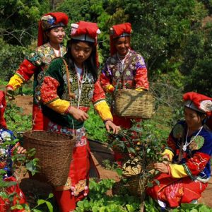 Vanishing Tribes Of Burma: Girls in Red Scarf