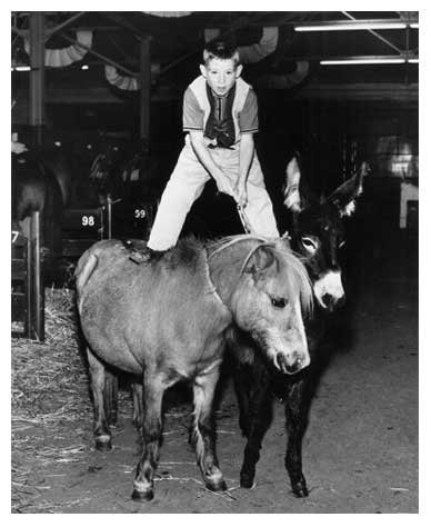 Riding A Horse And A Mule At The Grand National Livestock Exposition Age About 12